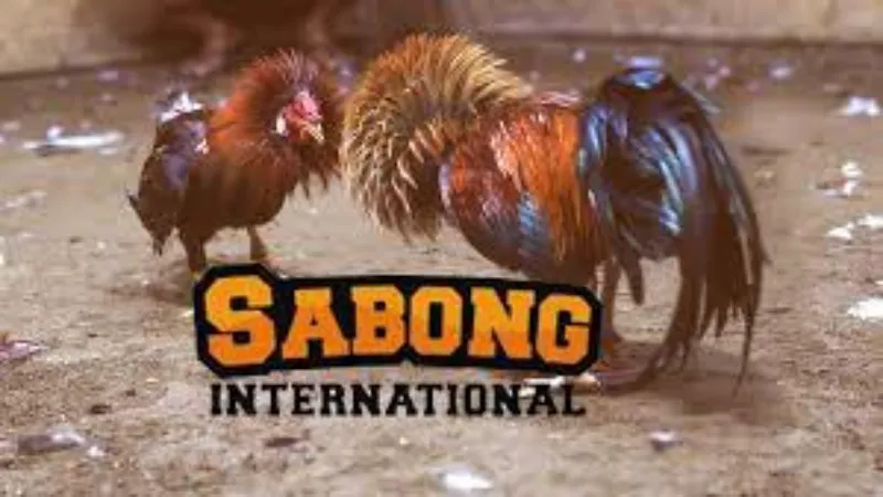 Attributes of Using online Sabong International